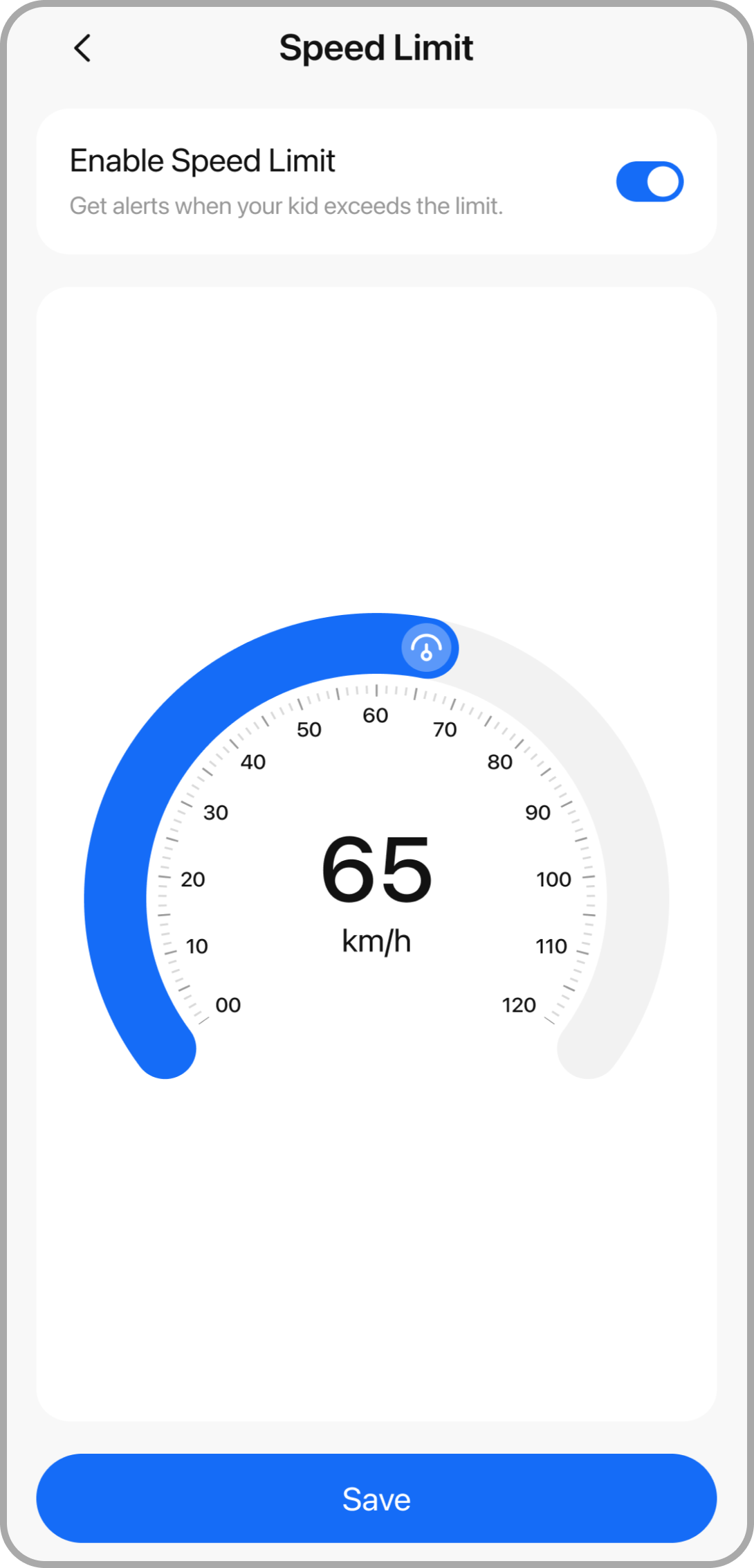 Driving Safety Features